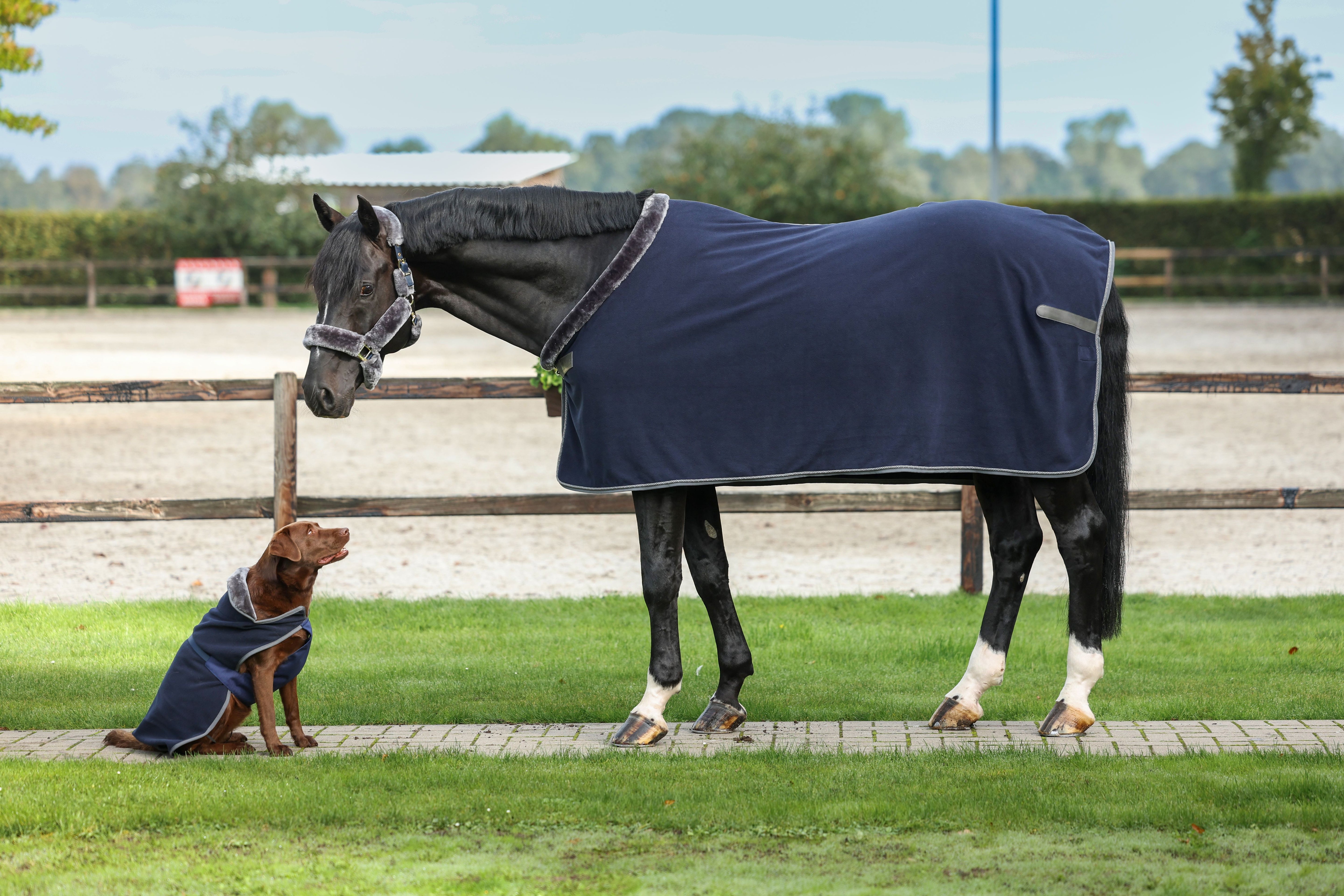 Abschwitzdecke Show-Line mit Fleece